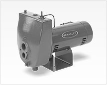 Berkeley 5HL Cast Iron ProJet Deep Well Pump, 1/2 HP, 115/230V