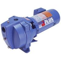 Goulds J10S 1 HP Shallow Water Well Jet Pump 115/230V 1 Phase - Click Image to Close