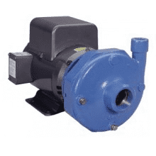 Goulds 5BF1MBB0 15HP Bronze Fitted Centrifugal Pump ODP