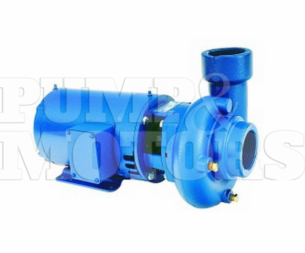 Goulds 53BF1E4E0 1 HP Bronze Fitted Low Head Centrifugal Pump