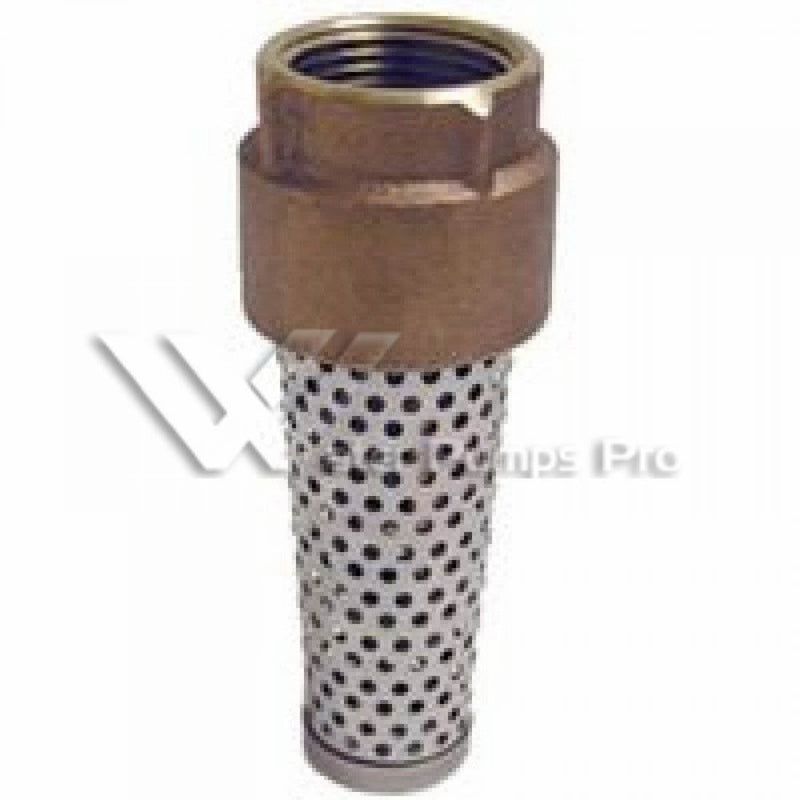 Merrill FVNL200 2" No-Lead Brass Foot Valve