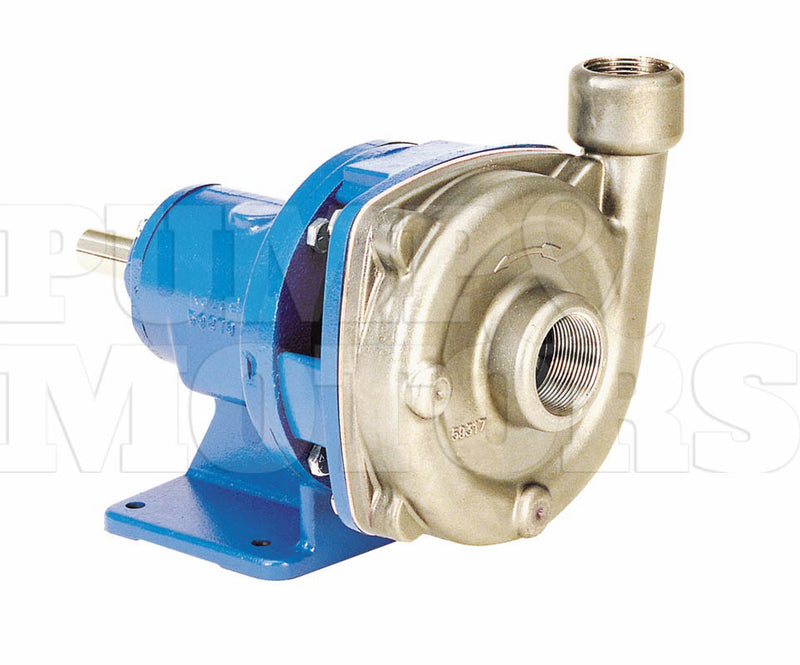 Goulds 5SSFRMD0 Stainless Steel End Suction Bare Pump
