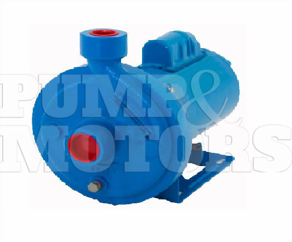 Goulds 1MC1C1E0 1/2 HP End Suction Centrifugal Pump
