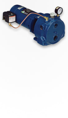 Franklin 91140010 Convertible Water Well Jet Pump 1HP 115/230V