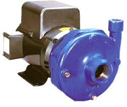 Goulds Centrifugal Pumps