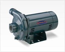 Berkeley S39509 Medium Head Centrifugal Pump 1-1/2HP, 115/230-1V