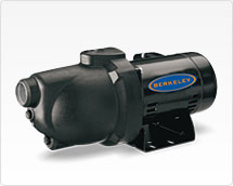 Berkeley 10PN Shallow Water Well Jet Pump, 1 HP, 115/230 V - Click Image to Close