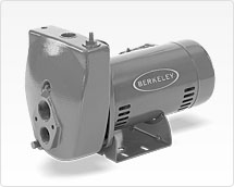 Berkeley 10SLJ Cast Iron ProJet Deep Well Pump, 1 HP, 115/230 V