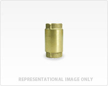 Myers CAPD-40 Check Valves - Vertical or Horizontal - Click Image to Close
